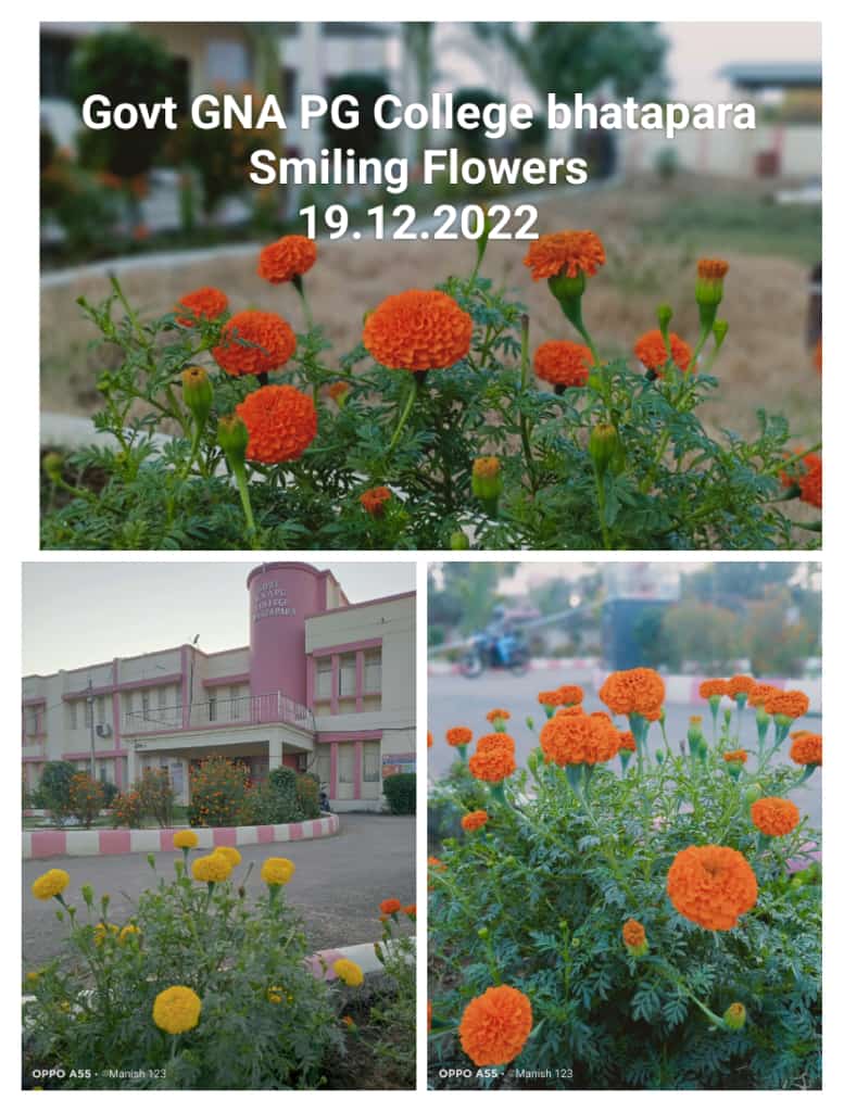 Govt. G. N. A. P.G. College, Bhatapara | Govt. College Bhatapara-Smiling Flowers 19-12-2022