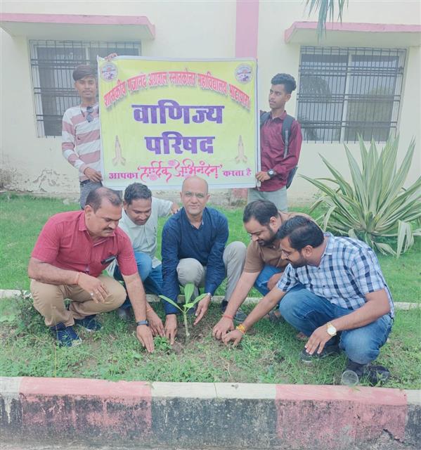 Govt. G. N. A. P.G. College, Bhatapara | Govt. College Bhatapara-जीएनए काॅलेज की वाणिज्य परिषद ने कराया वृक्षारोपण 18-07-2025